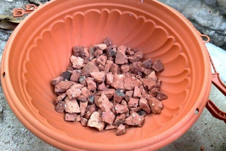 Why is it Bad to Put Rocks at The Bottom of a Plant Pot? Homes Pursuit