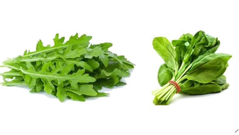Arugula vs. Spinach Nutrition and Health Benefits