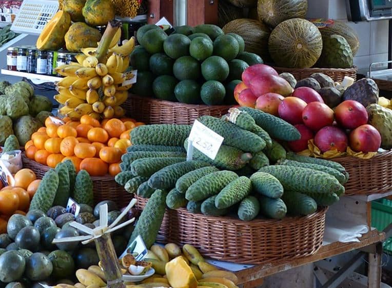 Monstera deliciosa fruits for sale