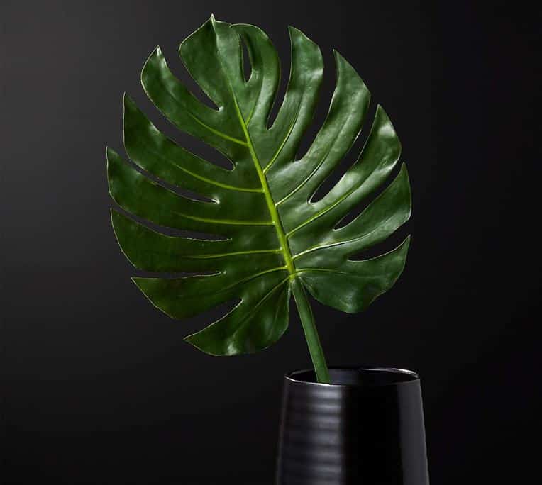 CB2 faux Monstera leaf