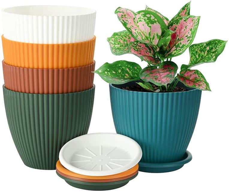 Plastic pots - Best pots for Monstera size