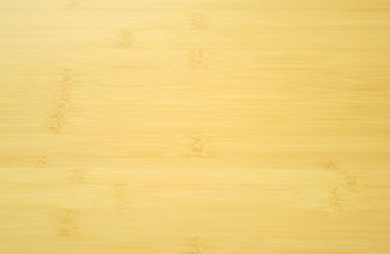 Amerique Engineered Click Bamboo Floor
