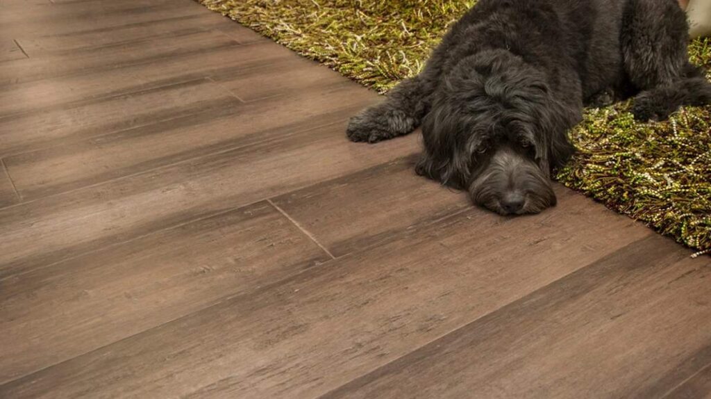 Bamboo Floors And Dogs Scratches, Will Dogs Paws Scratch Hardwood Floors